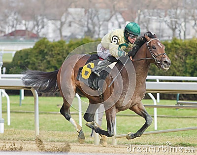 Great American Horse Racing Photos Editorial Stock Photo