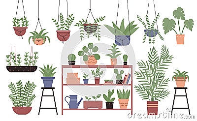 Great amount variety houseplants in pots flat design vector illustration set Vector Illustration