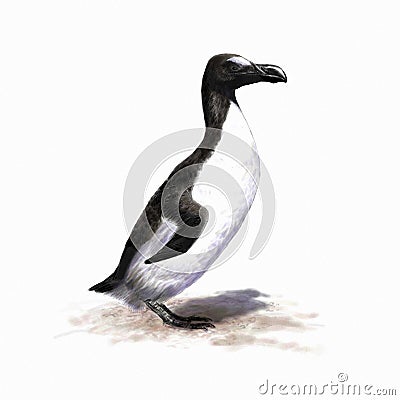 Great auk Cartoon Illustration