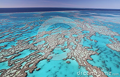 Great Barrier Reef Stock Photo