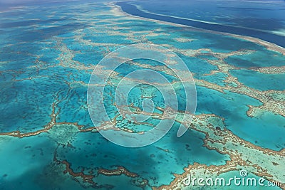 Great Barrier Reef Stock Photo