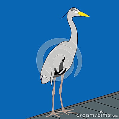 Great Blue Heron Stock Photo