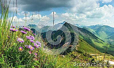 Great clear view from high mountain with flowers in foreground. Stock Photo