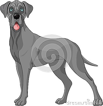 Great Dane dog Vector Illustration