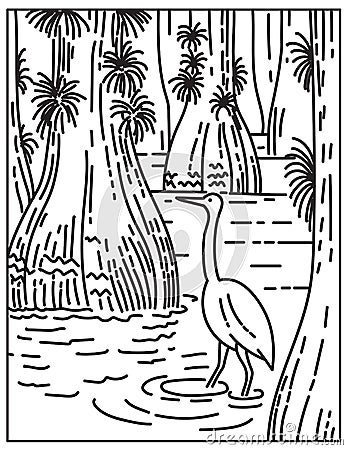 Great Egret Wading in Mangrove and Sawgrass Marsh in Everglades Vector Illustration