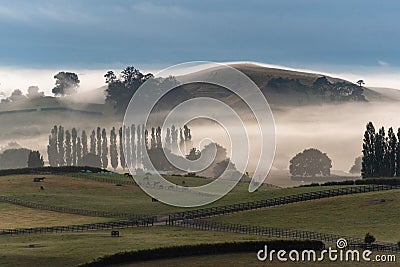 Great foggy pasture landscape in the early morning in Matamata, the true Hobbiton landscape, New Zealand Stock Photo