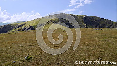 Great green area near Scoat Fell Stock Photo