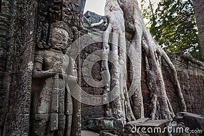 Great Guardian. Within the ruins of Angkor Wat trees and jungle have taken over entire buildings. Ta Prohm, Siem Reap. Cambodia. Stock Photo