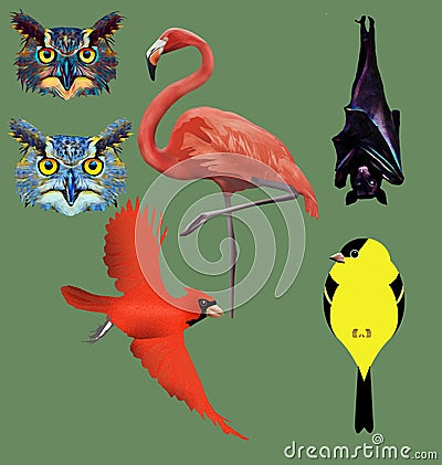 Great horned owls, flamingo, fruit bat, cardinal and goldfinch bird are seen Cartoon Illustration
