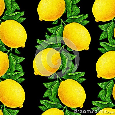 Great illustration of beautiful yellow lemon fruits on a branch with green leaves isolated on a black background. Watercolor Cartoon Illustration