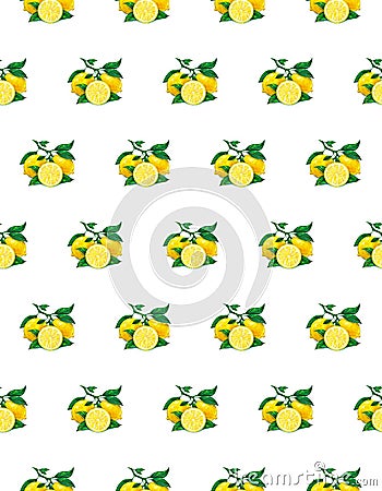 Great illustration of beautiful yellow lemon fruits on white background. Water color drawing of lemon. Seamless pattern Cartoon Illustration