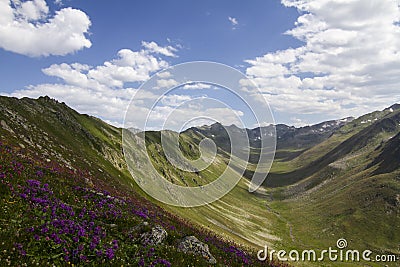 Great karmic Valley in the Black Sea Highlands Stock Photo