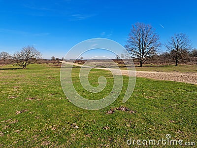 A great landscape near the village of Ermelo Stock Photo