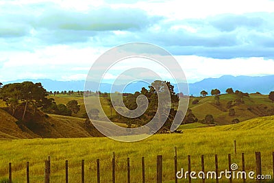 The great landscapes of New Zealand, Matamata Stock Photo