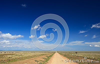 Great migration Stock Photo