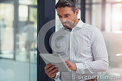 The great mind is at work. a businessman using a digital tablet in an office. Stock Photo