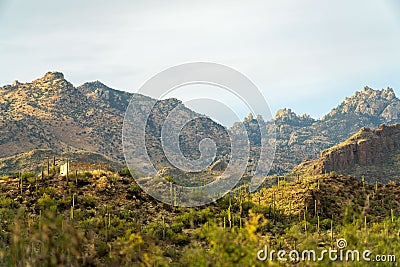 The great outdoors in tuscon arizona on mission view trail in sonora desert in sabino national park in wild west Stock Photo
