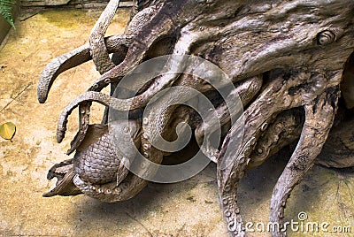 Great Root Sculpt Stock Photo