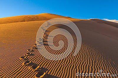Great Sand Dunes Stock Photo