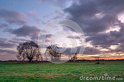 A great shot of colorful clouds during sunset and trees in a meadow Stock Photo