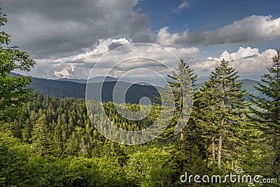 Great Smoky Mountains in the Appalachian Chain Stock Photo