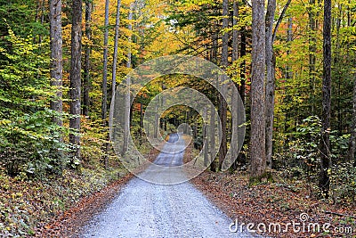 Great Smoky Mountains National Park, North Carolina Stock Photo