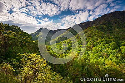 Great Smoky Mountains National Park Scenic Landscape Photography Stock Photo