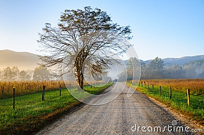 Great Smoky Mountains National Park Stock Photo