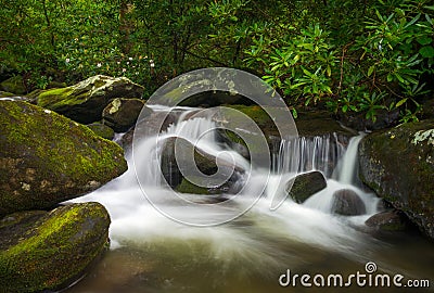 Great Smoky Mountains TN Roaring Fork Nature Waterfall Scenic Stock Photo