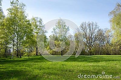 Great spring meadow Stock Photo