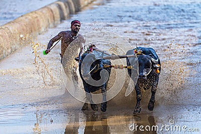 The Great team is almost there Editorial Stock Photo