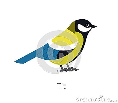 Great tit isolated on white background. Cute funny small insectivorous bird. Gorgeous wild avian species. Adorable Vector Illustration