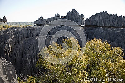 Great tsingy park in bekopaka in madagascar Stock Photo