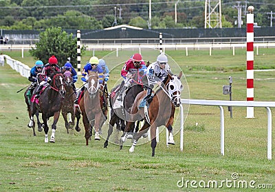 Great Turf Racing From Parx Editorial Stock Photo