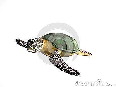 Great Turtle Stock Photo