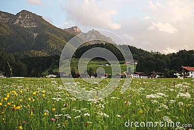 A great view over a meadow to the mountains. you can see such great views during traveling in bavaria germany Stock Photo