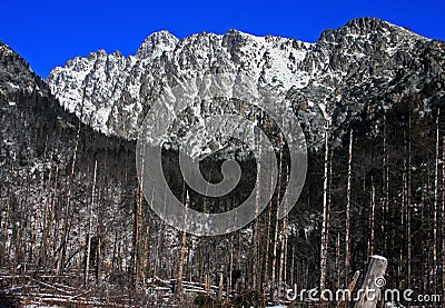 Great wall of rocks rising behind the forest Stock Photo