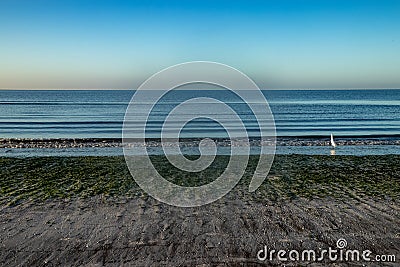 Great white egret looks out into the Gulf of Mexicco during sunrise Stock Photo