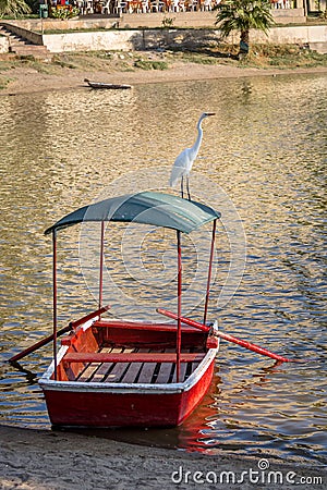 Great White Egret and small boat at Huacachina Oasis - Ica, Peru Stock Photo