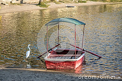 Great White Egret and small boat at Huacachina Oasis - Ica, Peru Stock Photo