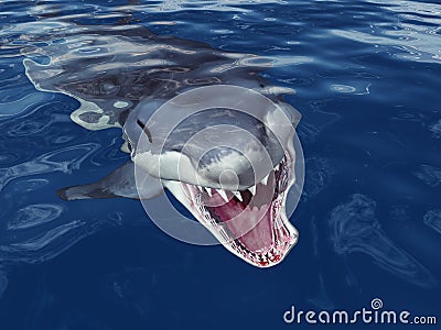 Great White Shark Attack Cartoon Illustration