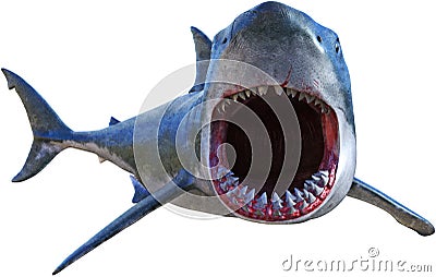 Great White Shark Attack Isolated Stock Photo