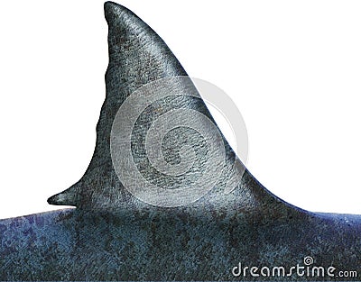 Great White Shark Fin, Isolated Stock Photo