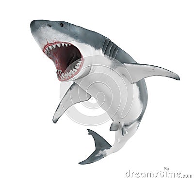 Great White Shark Isolated Stock Photo