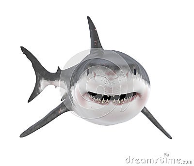 Great White Shark Isolated Stock Photo