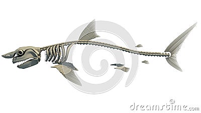 Great White Shark Skeleton 3D rendering Stock Photo