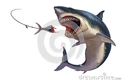 Great white shark attack bait tuna tail illustration isolate realism. Cartoon Illustration