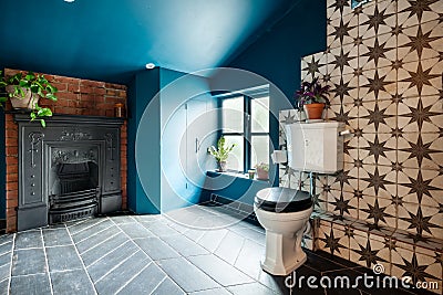 Striking blue cottage washroom wc Editorial Stock Photo
