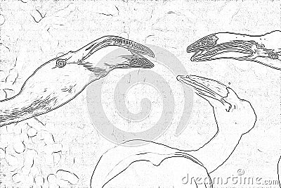 The greater flamingo Phoenicopterus roseus drawing Stock Photo