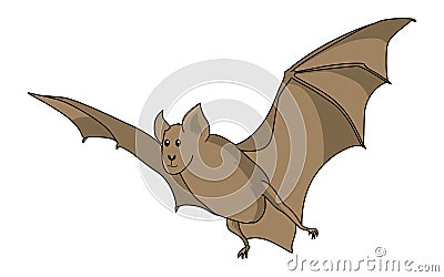 Greater Horseshoe Bat illustration .Bat Vector Illustration